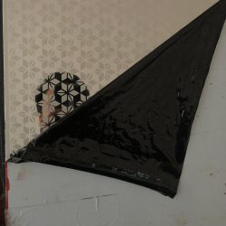 4c8dbe19-defb-427f-b52b-71ea5b96acbc